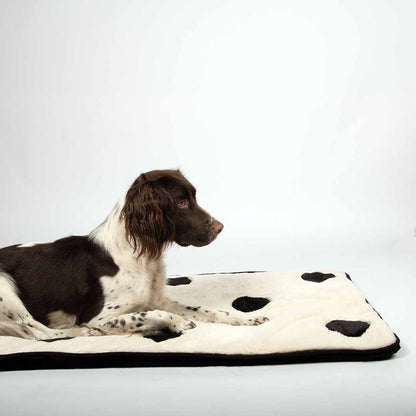 Dog Plaid Domino Dream