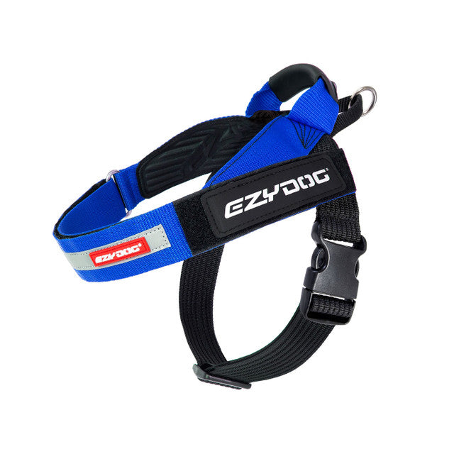 Express Harness