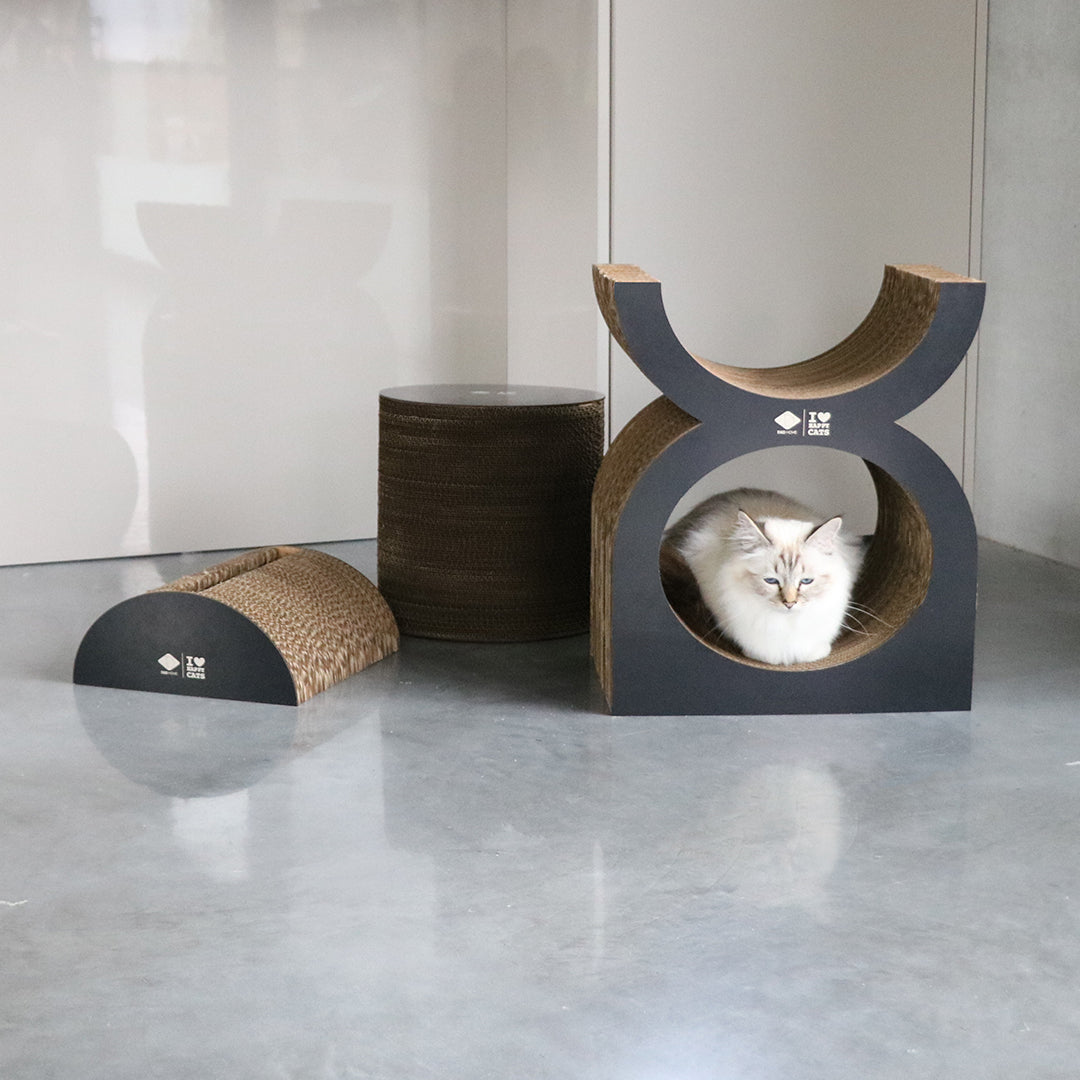 FAYE - Cardboard scratcher playground Brown/black
