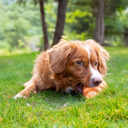 Feeding Toy Nimble Me Rugby