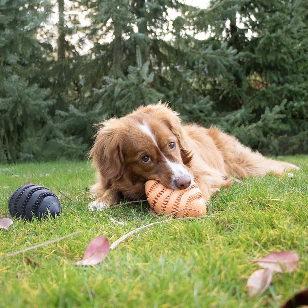 Feeding Toy Nimble Me Rugby