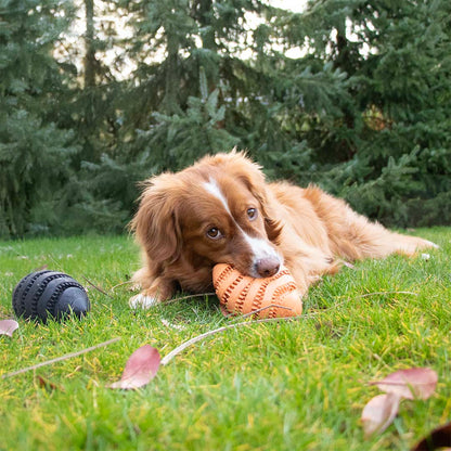 Feeding Toy Nimble Me Rugby