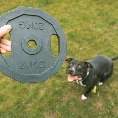For The Gainz - barbell dog toy
