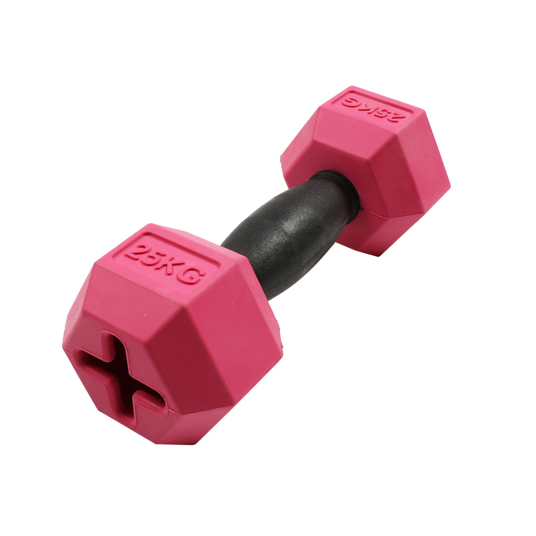 For The Gainz - dumbbell dog toy