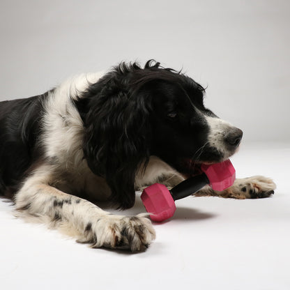 For The Gainz - dumbbell dog toy
