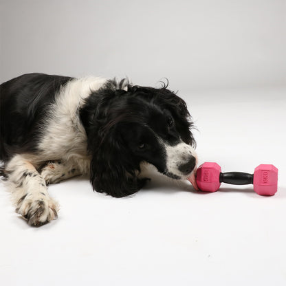 For The Gainz - dumbbell dog toy