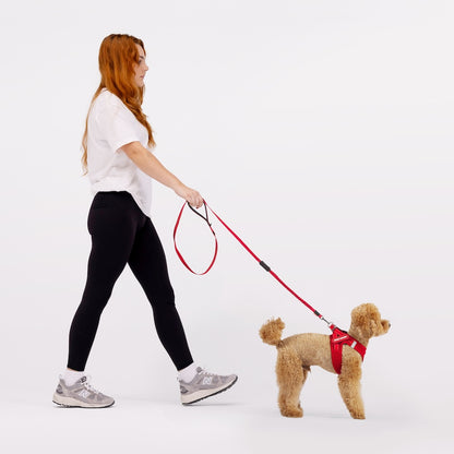 FORMFIT® Mesh Harness