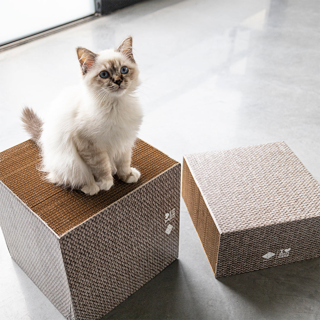 FREYA - Cardboard scratcher block Beige