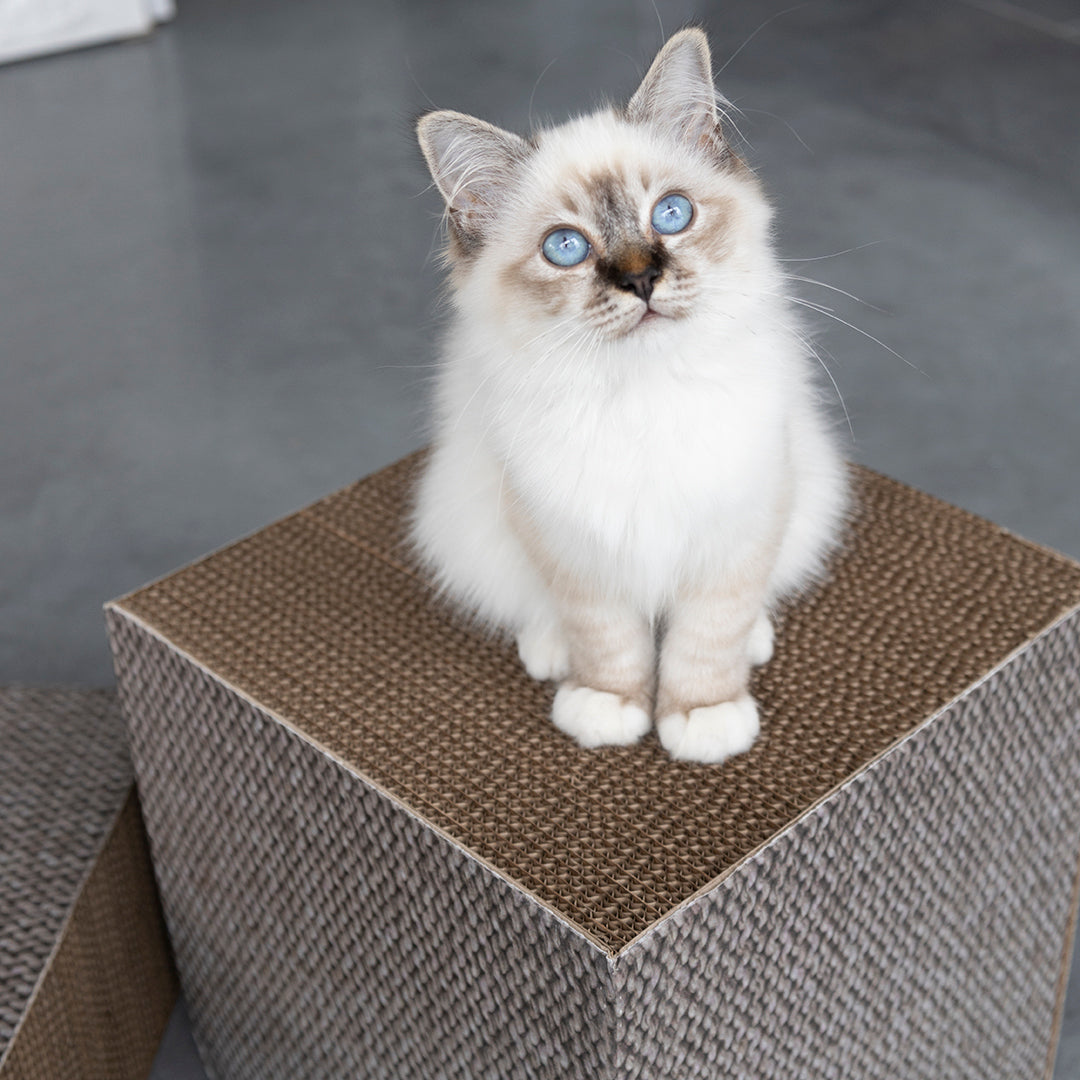 FREYA - Cardboard scratcher block Beige