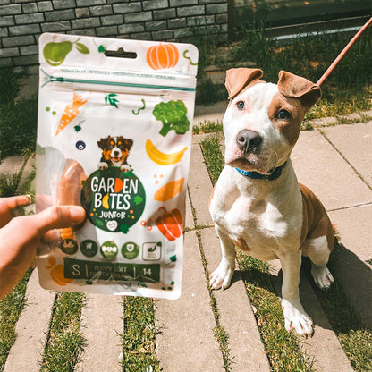 Garden Bites Puppy Soft Fruity Friends