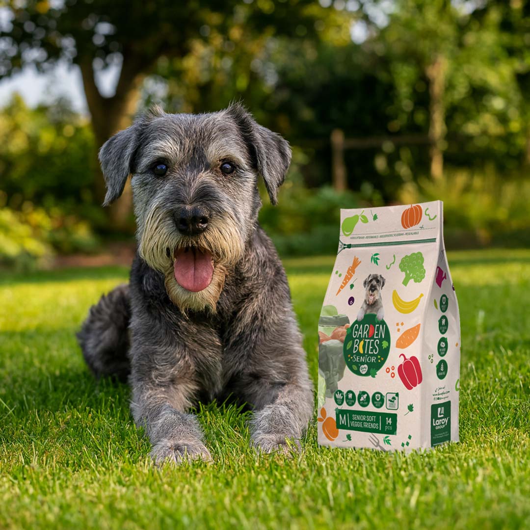 Garden Bites Senior Soft Veggie Friends