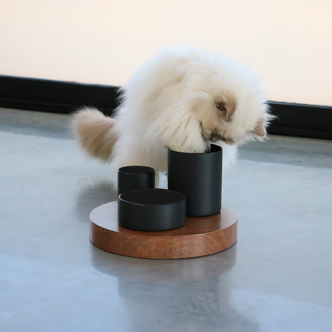 IGGY - Enriched food tray with 3 levels Black
