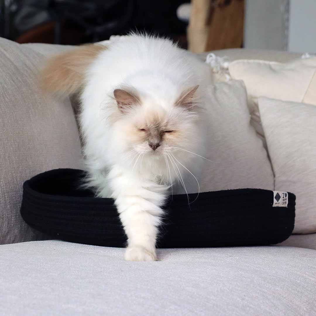 JESS - Cat basket Beige