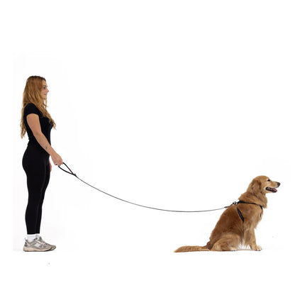 Essential Adjustable Leash