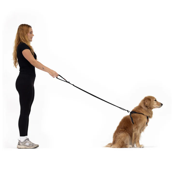 Essential Adjustable Leash