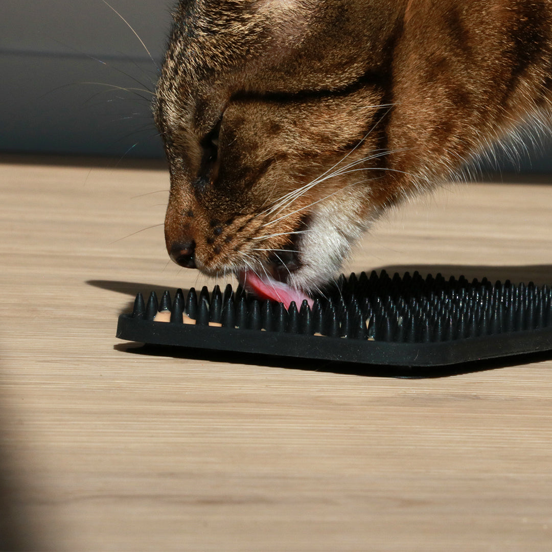 LEX - Licking mat studs Black