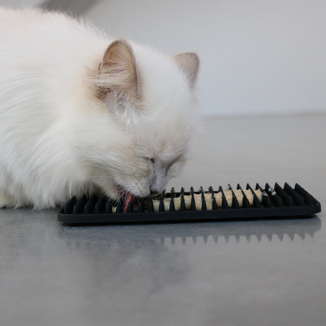 LEX - Licking mat studs Black