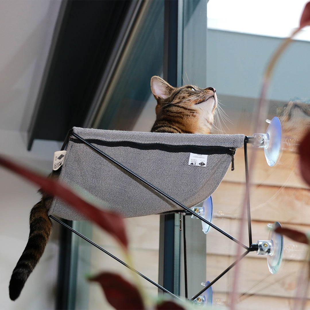 OLIVIA - Window hammock Grey