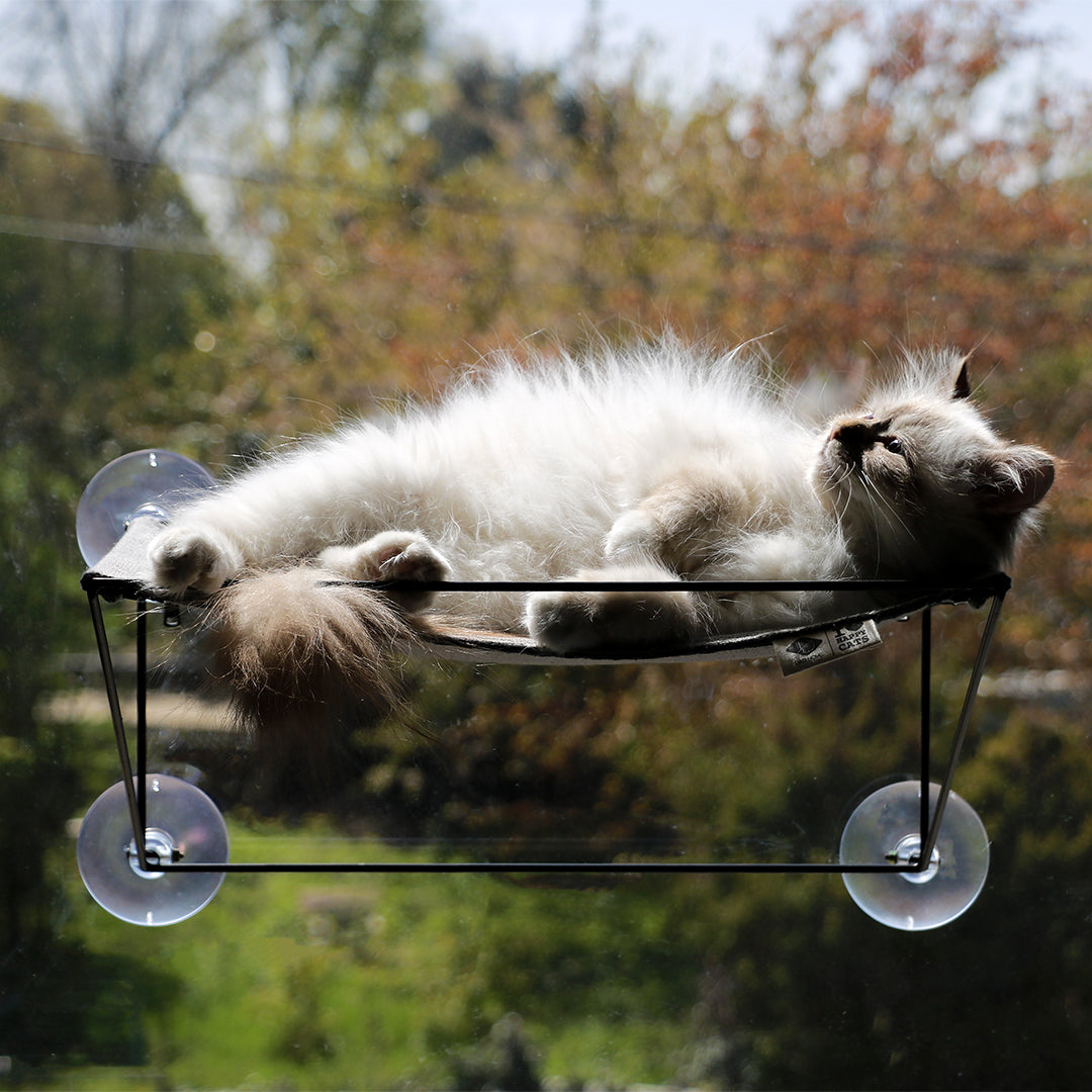 OLIVIA - Window hammock Grey