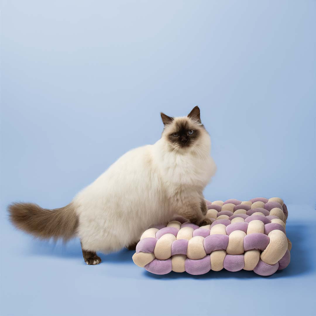 Pillow Velvet