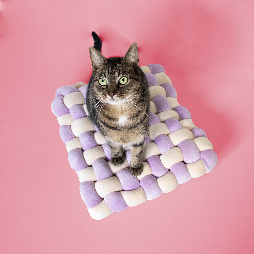 Pillow Velvet