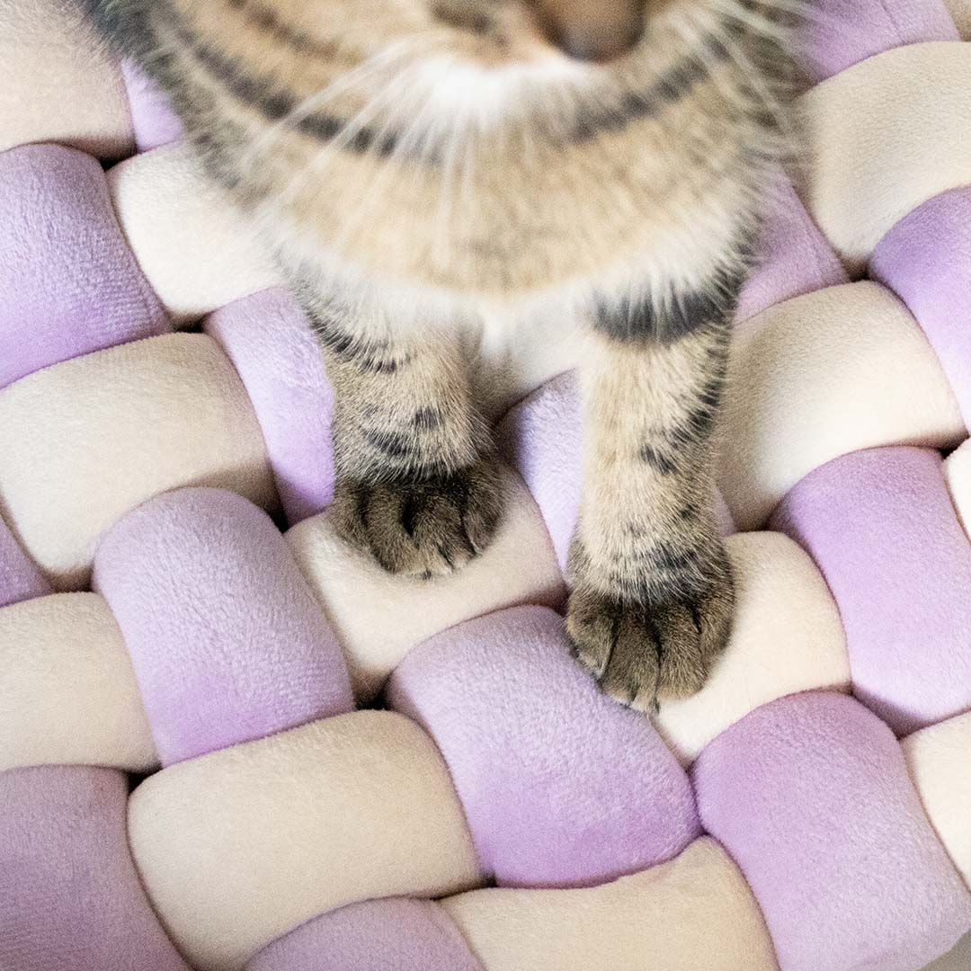 Pillow Velvet