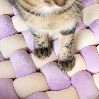 Pillow Velvet