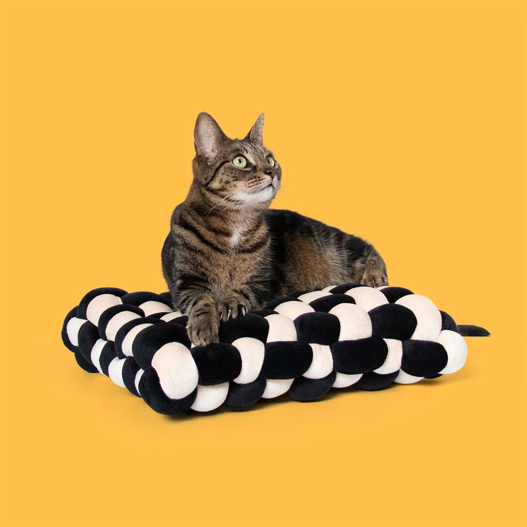 Pillow Velvet