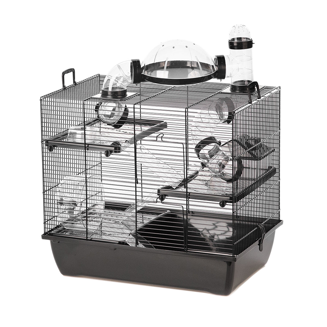 Rodent Dwelling Black Rufus