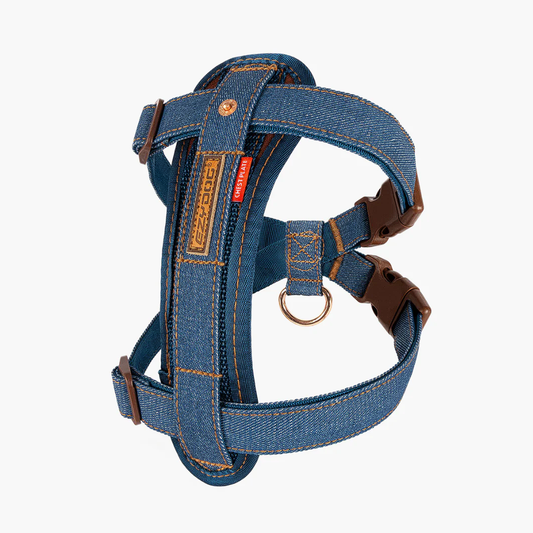 Denim Collection: Chest Plate Harness