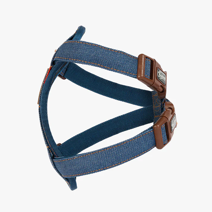 Denim Collection: Chest Plate Harness