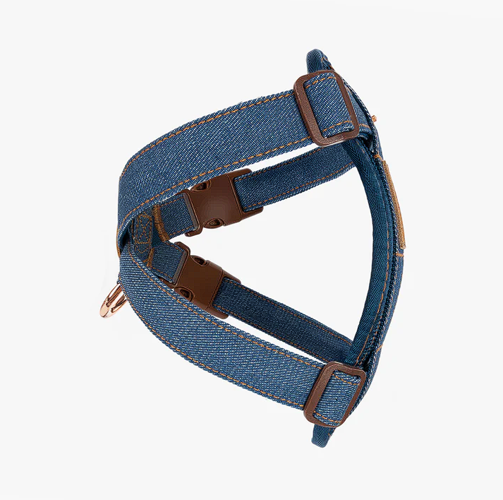 Denim Collection: Chest Plate Harness