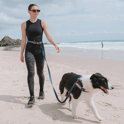 Denim Collection: Road Runner Leash