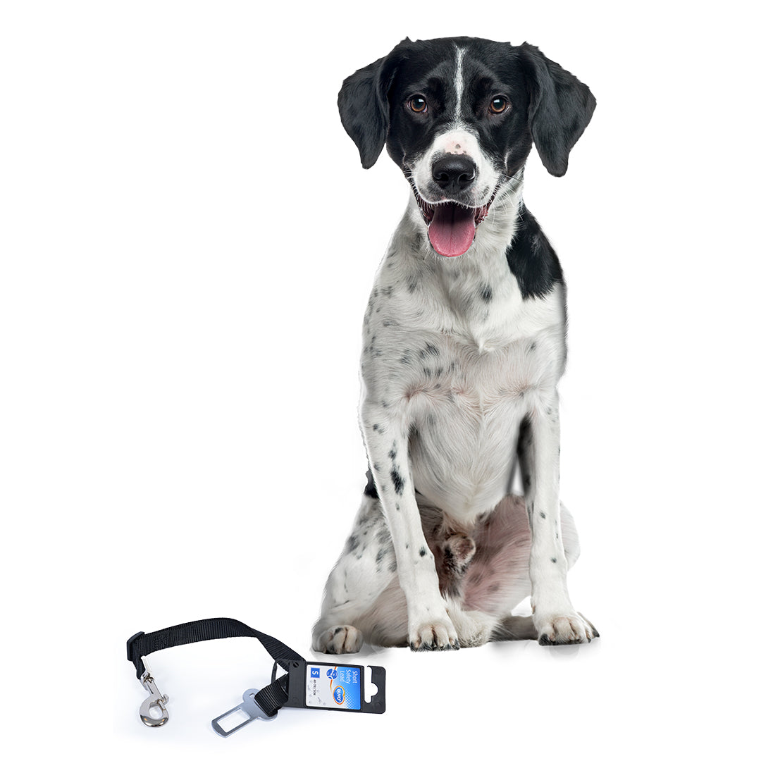 Short Safety Lead Black