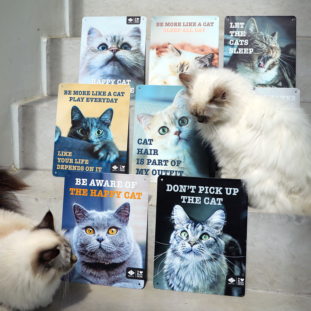 I LOVE Happy Cats sign 'let the cats sleep' Multicolour