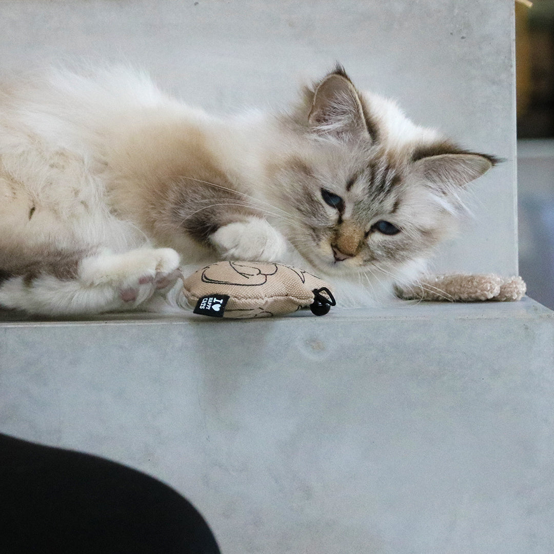 SITTING HAPPY CAT - Cat toy with bell display Beige