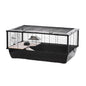 Small Animal Habitat