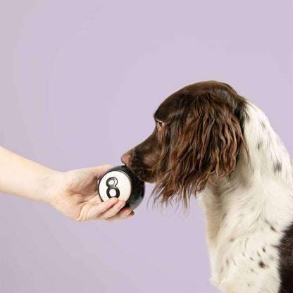 Snackball EIGHT