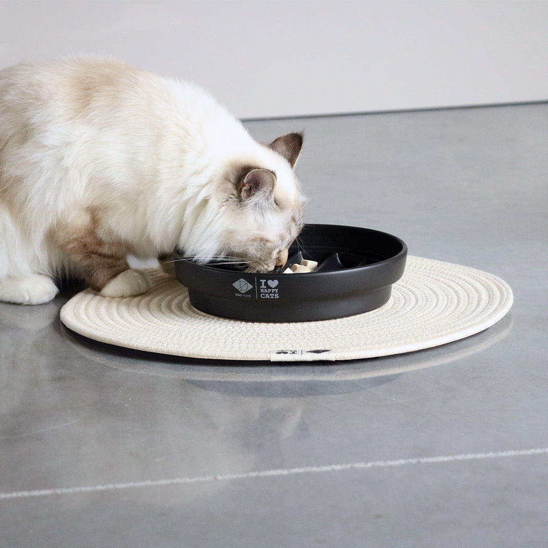 SUE - Slow feeder