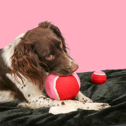 Coockoo tennis ball