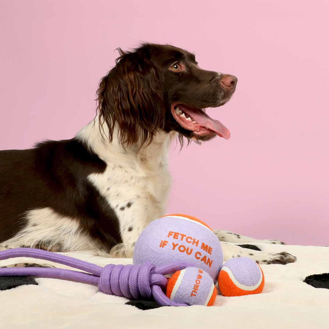 Coockoo tennis ball