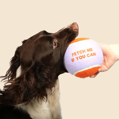 Coockoo tennis ball