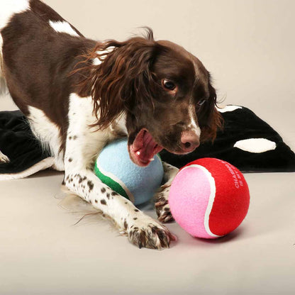 Coockoo tennis ball