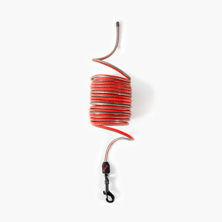 Track N Train Slimline Dog Leash