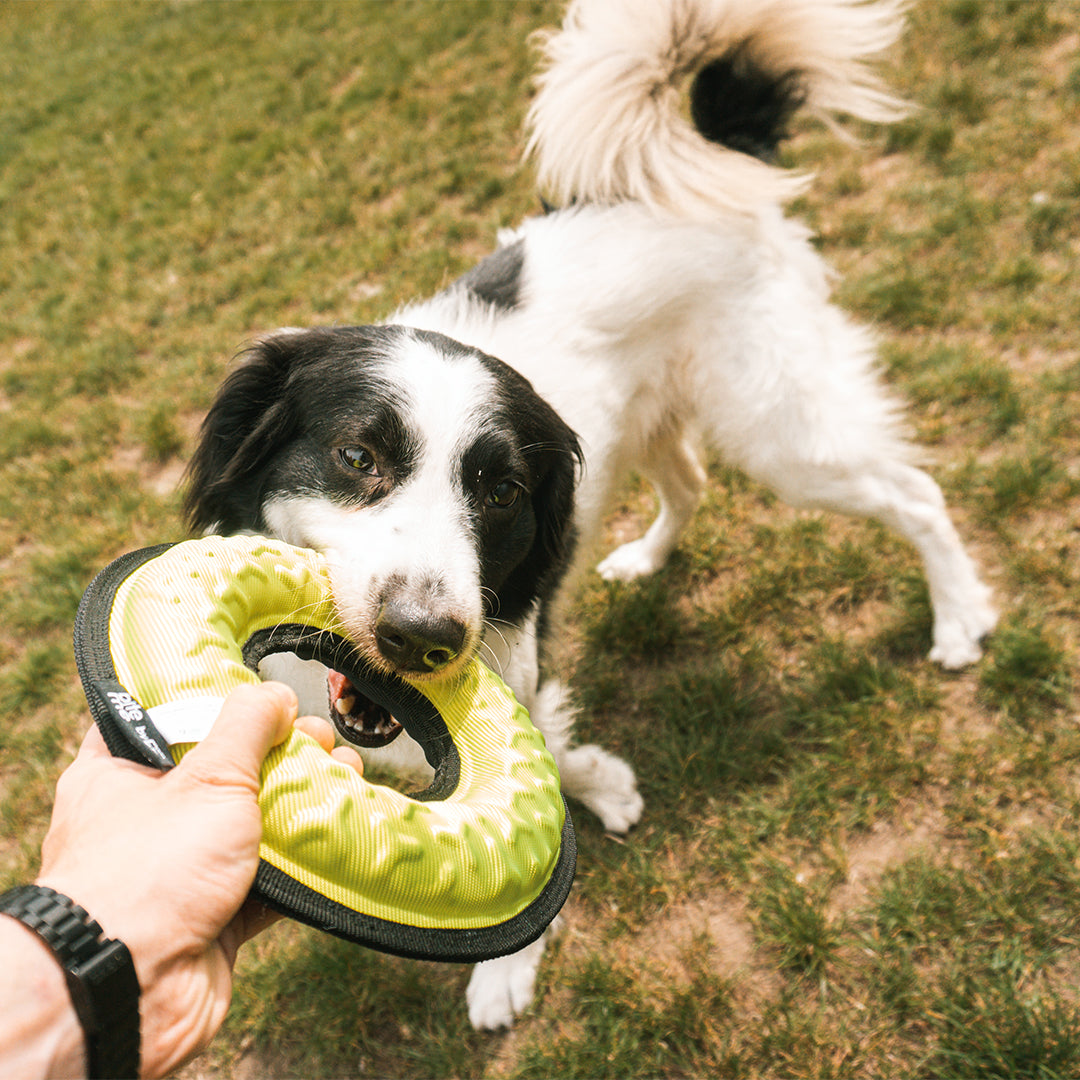 Tug-o-war loop