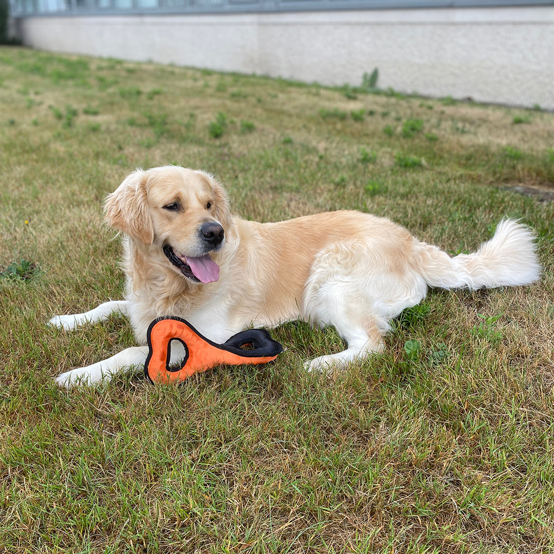 Tug-o-war twisted