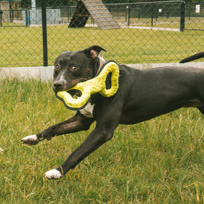 Tug-o-war twisted