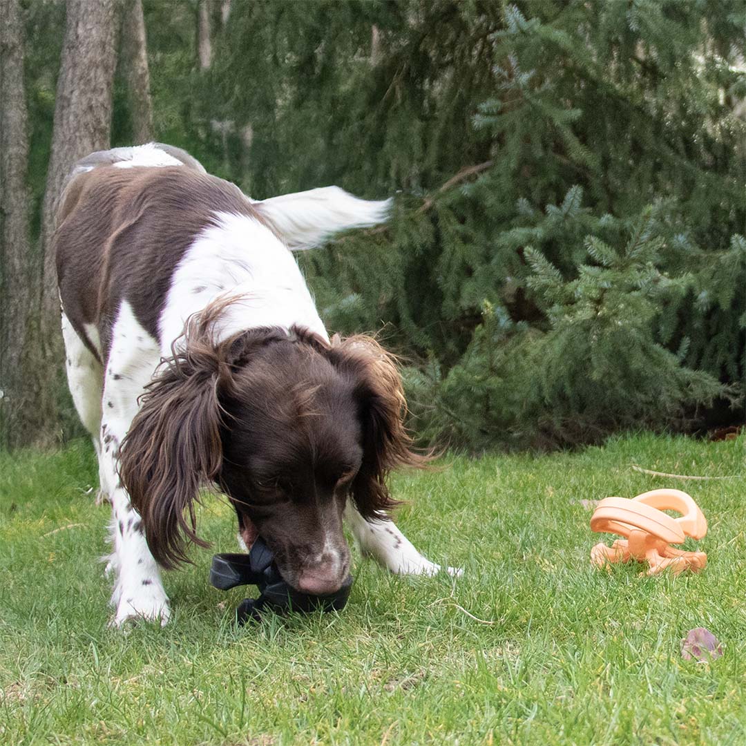 Tug Toy Tug Tumble