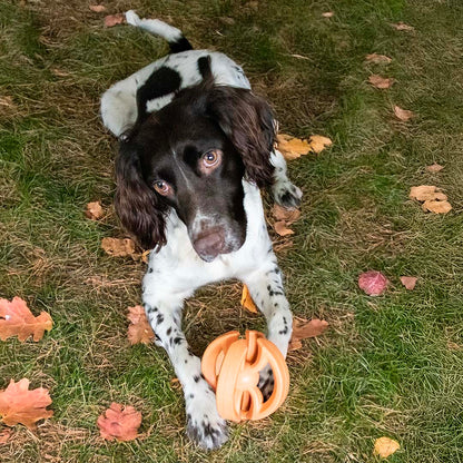 Tug Toy Tug Tumble