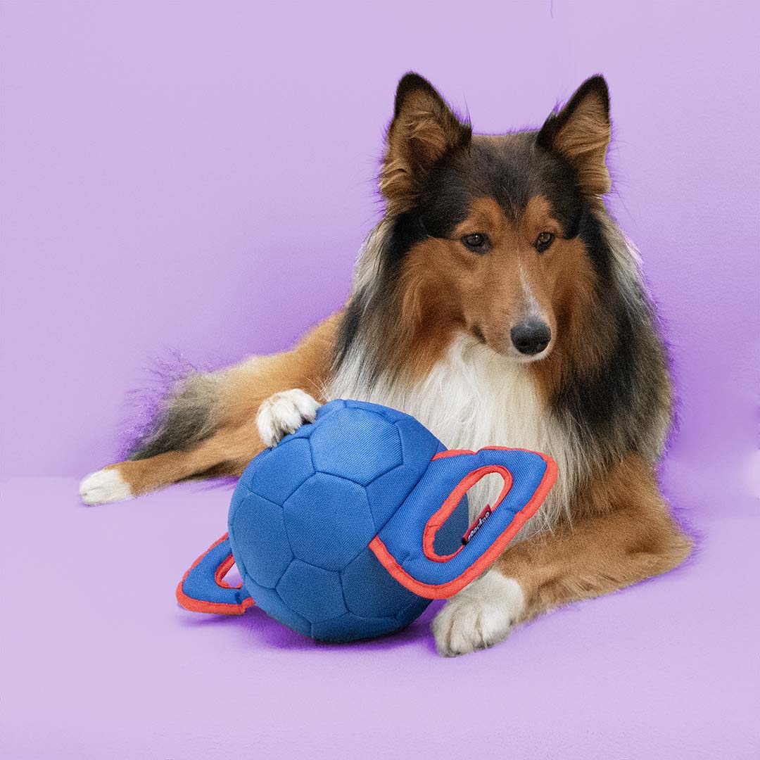 Tug Toy Power Pully Mixed Colors
